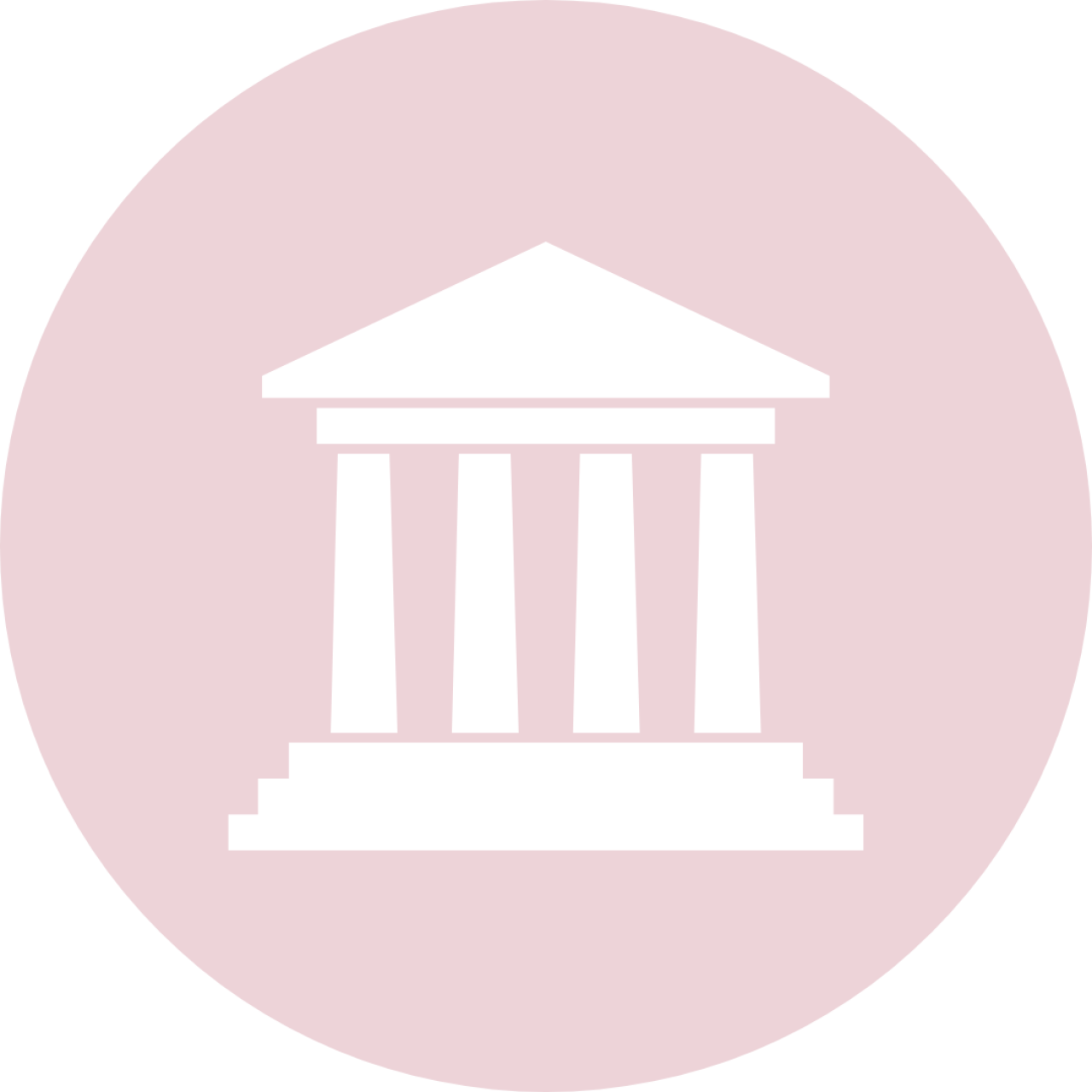 policy icon